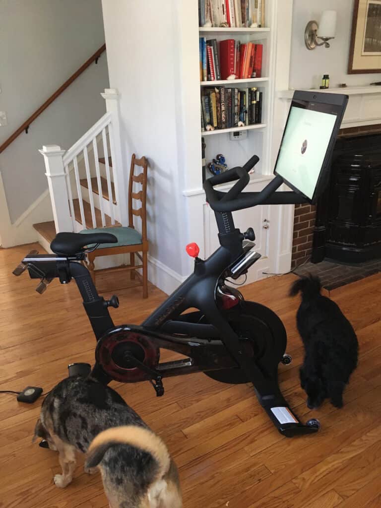 vacation rental with peloton bike plus